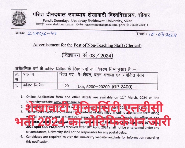 Shekhawati University LDC Recruitment 2024